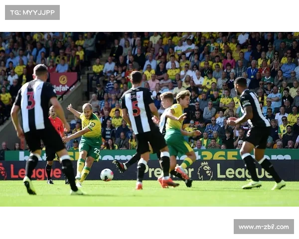 卡利亚里主场鏖战萨索洛 保级关键战掀起热烈氛围