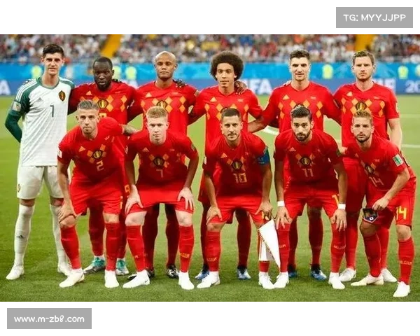 比利时黄金一代落幕，维尔通亨专访谈国家队生涯